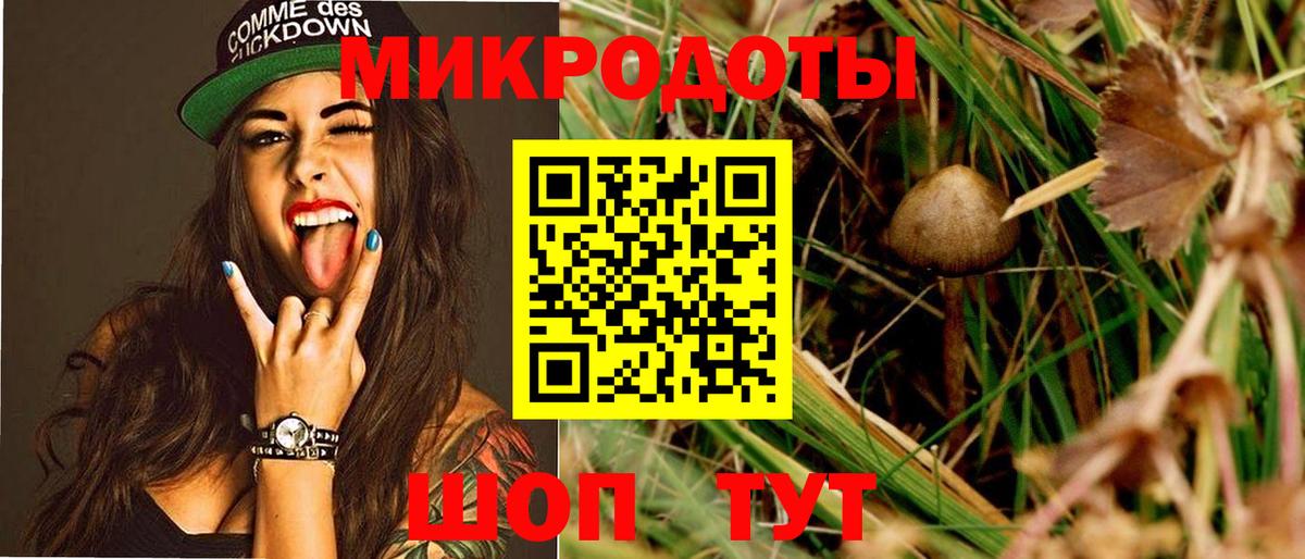 Псилоцибиновые грибы GOLDEN TEACHER Киров