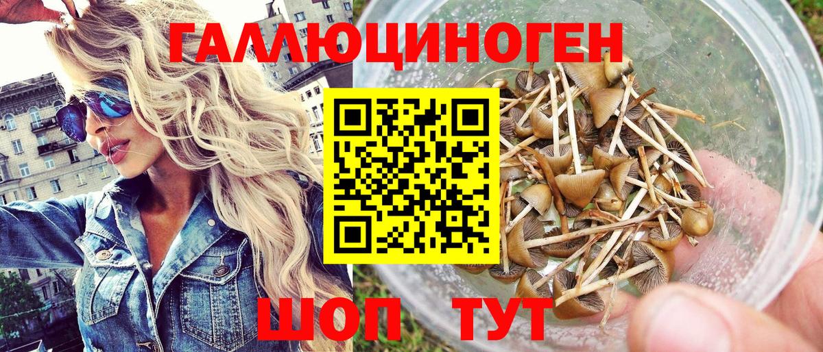 Галлюциногенные грибы Psilocybine cubensis  Вход с VPN  Киров 